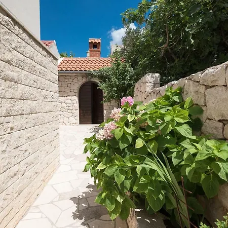 Maslina Sibenik